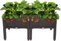VINGLI Square Raised Garden Bed, Self-Watering Plastic Planter by VINGLI