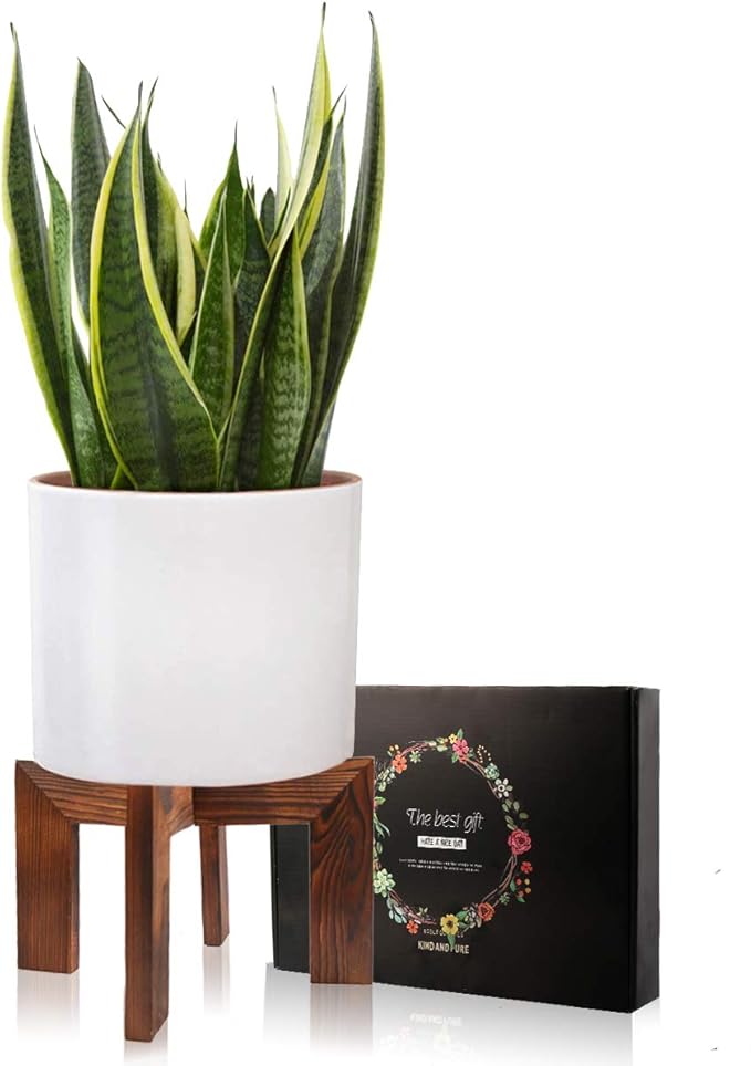 Gendral Forwepup Wood Plant Stand, Mid Century Modern Planter, Rattan Flower - Image 2