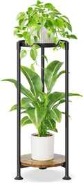 iDavosic.ly 2 Tier Corner Plant Stand Indoor, 30 Inch Tall Vertical Metal by iDavosicly