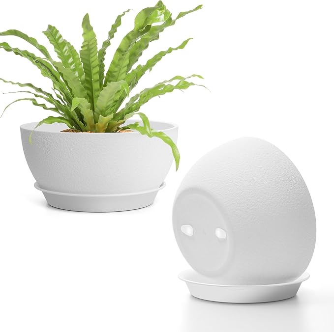 T4U 8 Inch Plant Pots, Plastic Planters by T4U