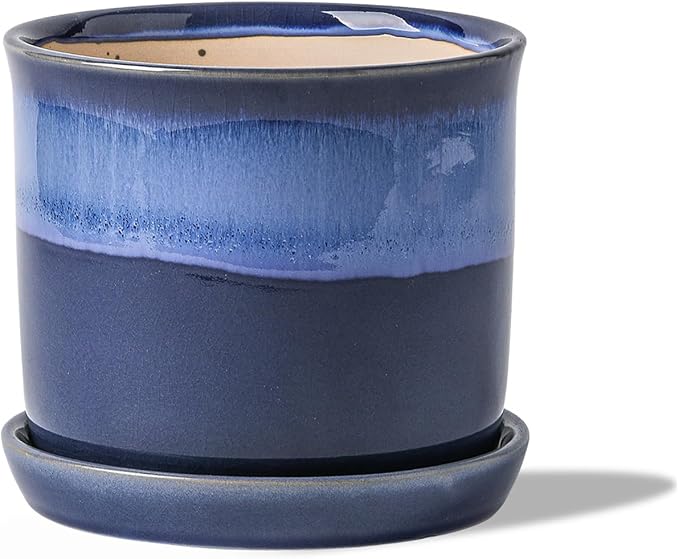 5.8 Inch Plant Pot: Ceramic Planter by Chubacoo