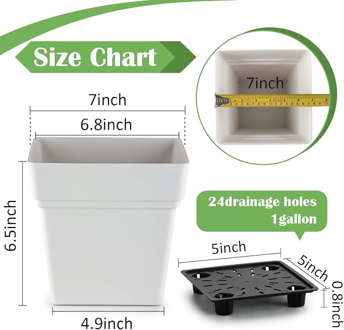 6-Pack 7 Inch Square Planters - Image 4