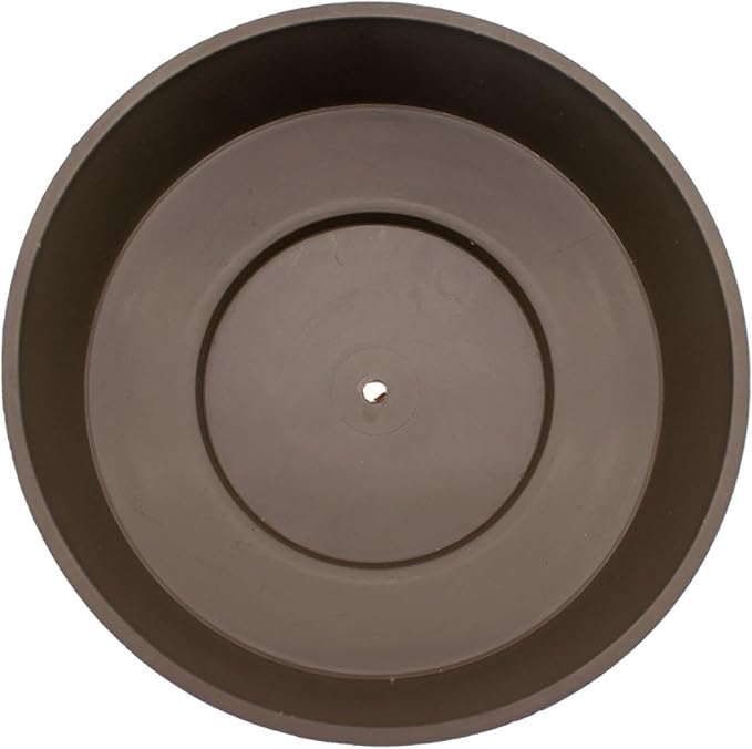 The HC Companies 8 Inch Round Plastic Succulent Capri Bowl Decorative Indoor - Image 2