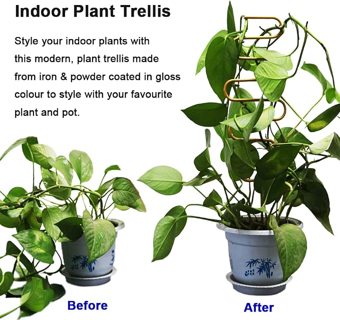 Small Metal Trellis for Potted Plants, Plant Support Stake Mini House Plant - Image 4