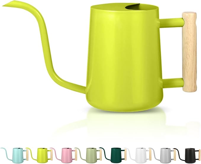 Watering Can Indoor Plants, 35oz Small Stainless Steel Metal Watering Can by GUKJOB