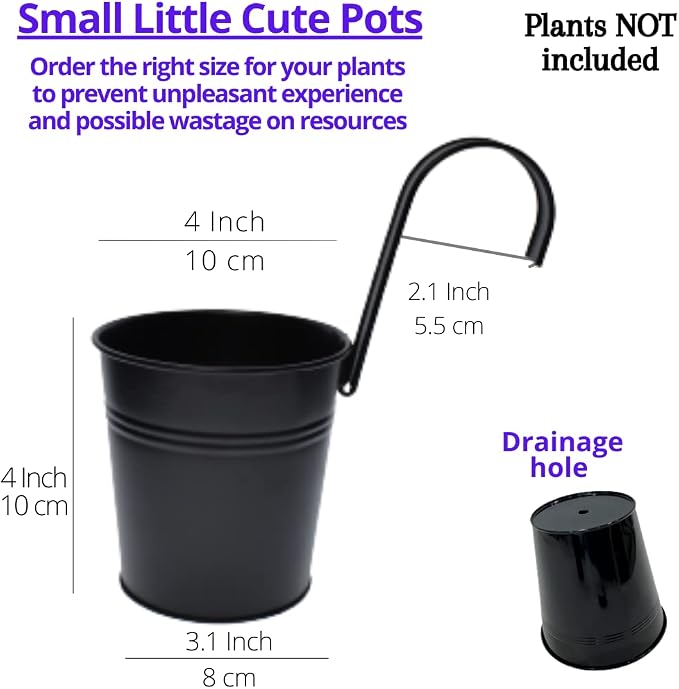 LaLaGreen Small Hanging Planters - Image 2