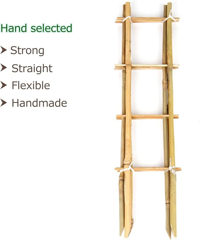 Bamboo Trellis, 16in Ladder-Shaped Trellis - Image 2