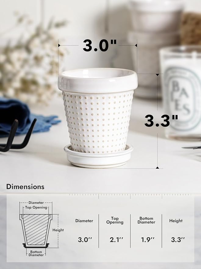 LE TAUCI 3 Inch Mini Succulent Pots - Image 4