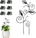 Decorative Metal Plant Trellis for Indoor Potted Plants – Leaf Shape Vine by Unknown