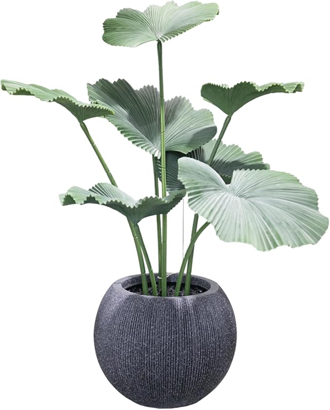 14.5 Inch Dia Plastic Round Black Planters - Image 4