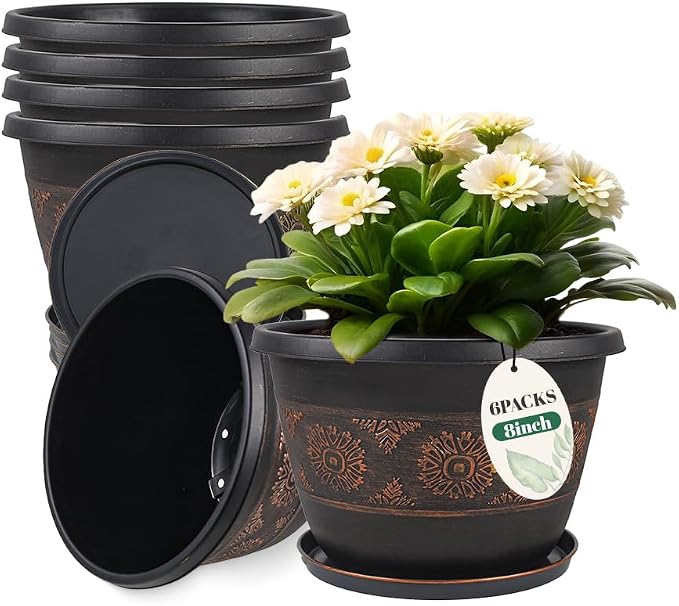 6 Pack 8 inch Plant Pots, Retro Pattern Planters by Usocik