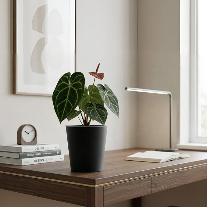 3 Pack of 6in Plastic Cachepot - Image 8