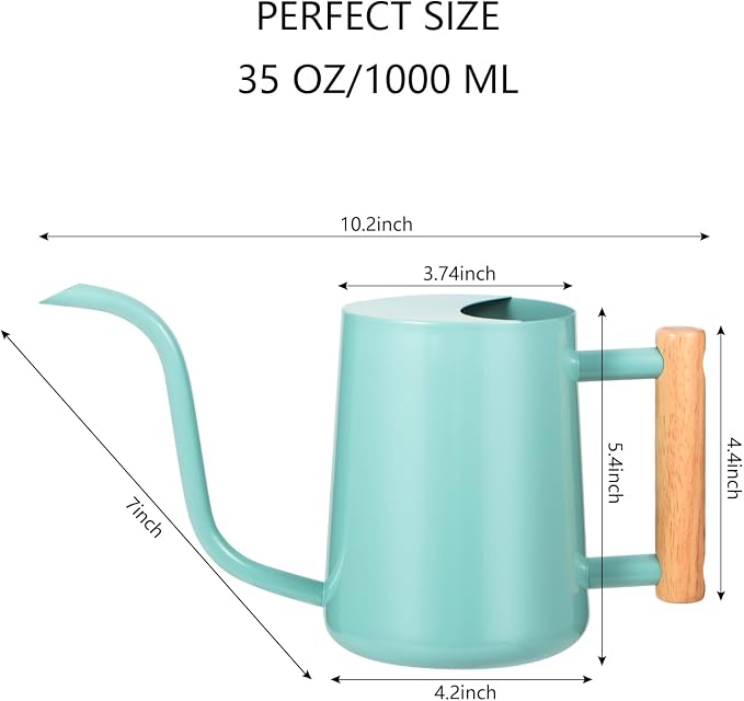 Watering Can Indoor Plants, 35oz Small Indoor Stainless Steel Metal Watering - Image 7