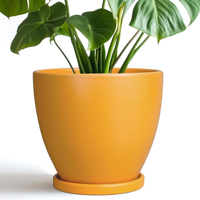 Ceramic Plant Pot by EPFamily