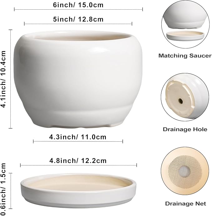 SQOWL Ceramic Flower Pots - Image 3