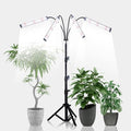 GHodec Grow Light with Stand, 200W 6000K Full Spectrum Gooseneck Floor Plant by GHodec