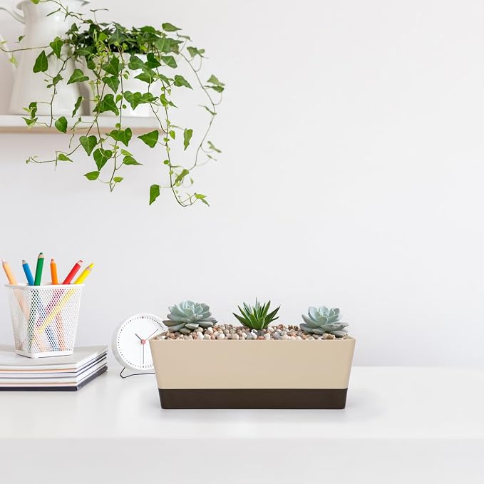 GREANER Planter Windowsill Box, 1 Pack 12x3.8 Inch Herb Rectangle Planter - Image 7