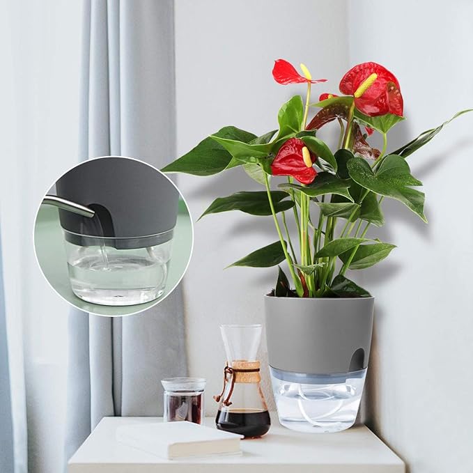 Vanavazon 6 Inch Self Watering Planter Pots - Image 4