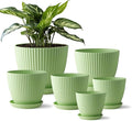 7.5/6.5/5.5/4.9/4.2/3.5 Inch Plant Pots by RooTrimmer