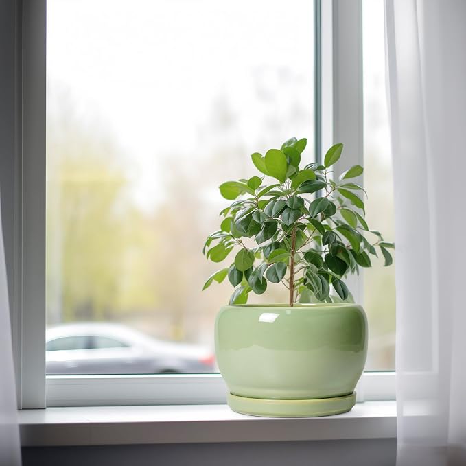 SQOWL 8 Inch Plant Pot - Image 4