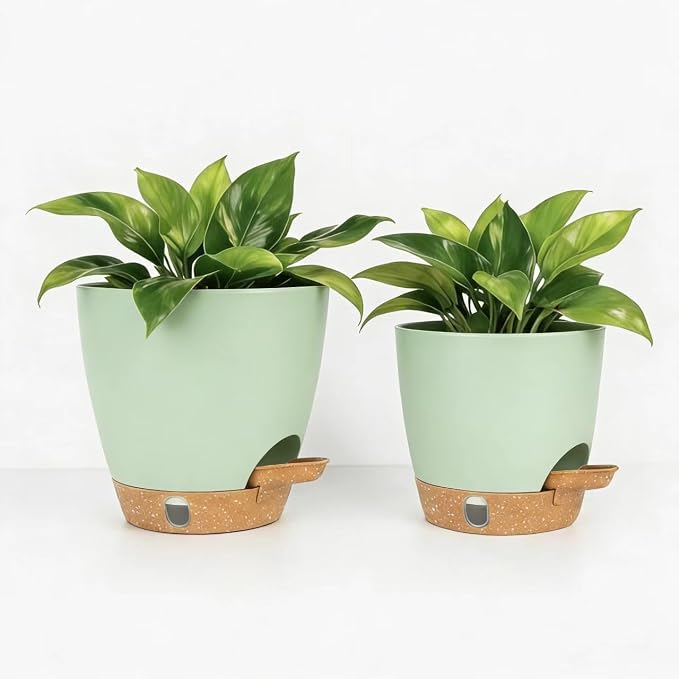 Self-Watering Plant Pots for Indoor Plants: 5/6 Inch Plastic Planter by THEJIYUE