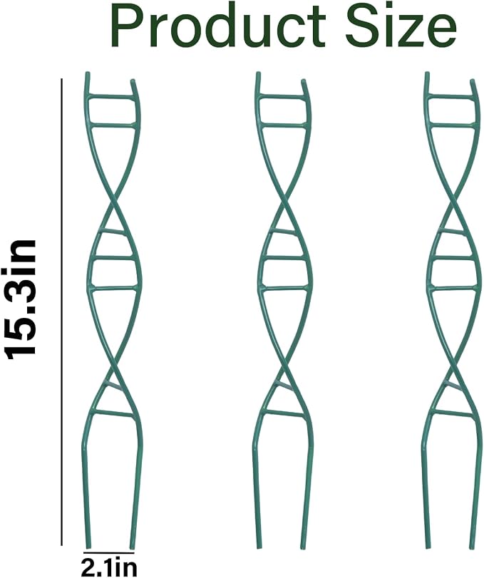 Indoor Plant Trellis - Image 2
