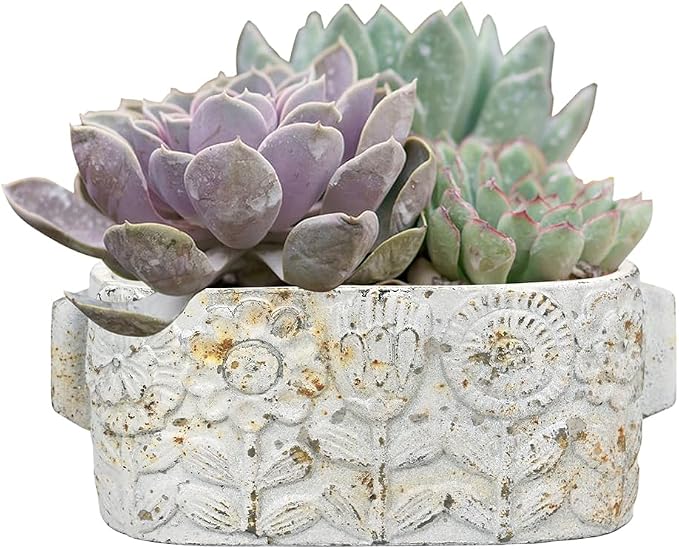 8 inch Pots Planters Indoor Plants Succulent Pots Rectangle Window Box Cactus - Image 6