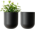 LA JOLIE MUSE Wall Hanging Planters by LaJol%C3%ADeMuse