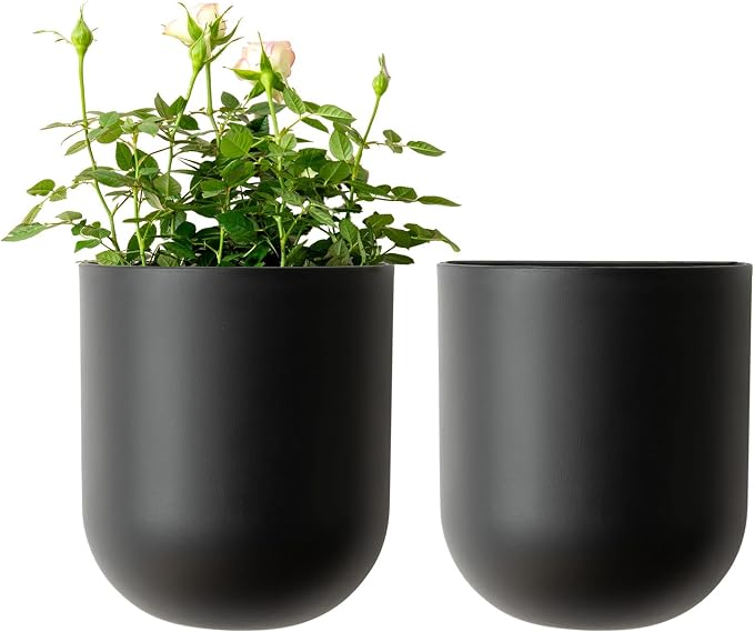 LA JOLIE MUSE Wall Hanging Planters by LaJol%C3%ADeMuse