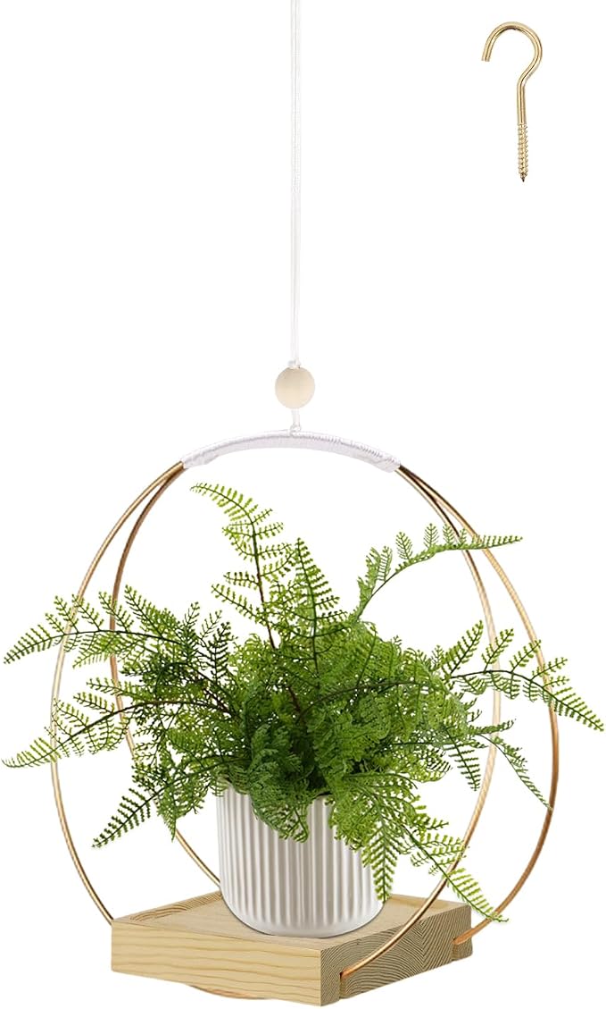 Hanging Planter for Indoor Plants, Plant Hanger by hismocal