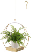 Hanging Planter for Indoor Plants, Plant Hanger by hismocal