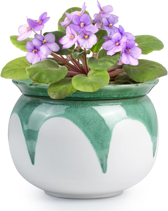 African Violet Pots, 6 inch Ceramic Easy Self Watering Plant Pot by BUYMAX
