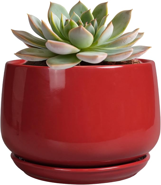 G EPGardening Ceramic Pot for Plants by GEPGardening