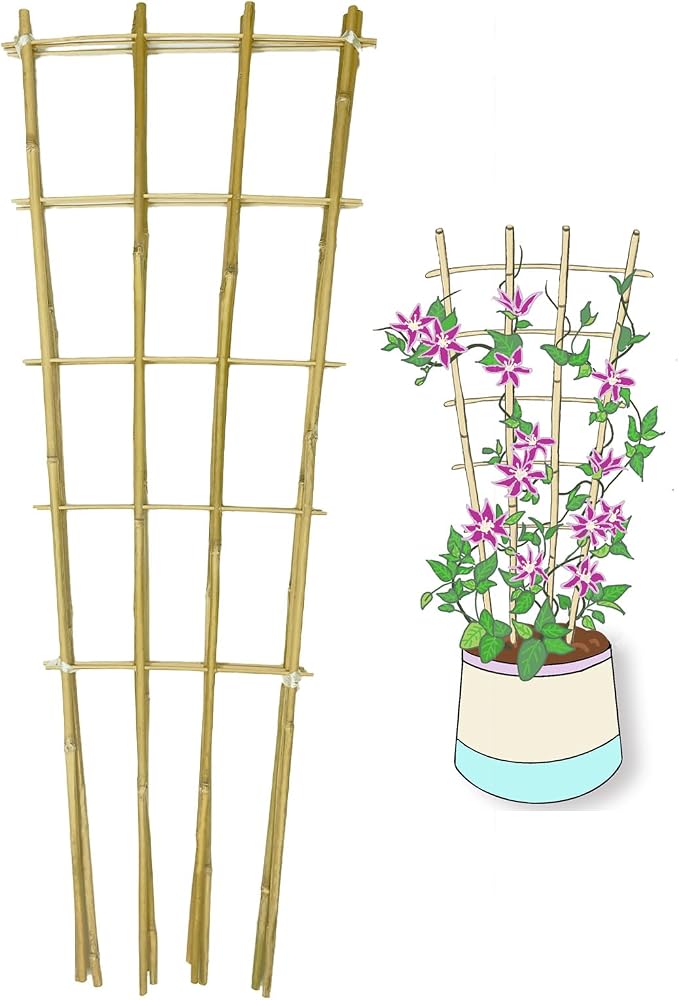 Natural Bamboo Trellis, Fan-Shaped Plant Support Trellis by GUANGYE