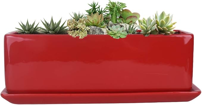 Vencer 12 Inch Rectangular Modern Minimalist Ceramic Succulent Planter Pot - Image 2