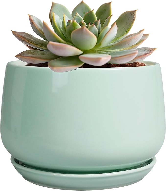 G EPGardening Ceramic Plant Pots by GEPGardening