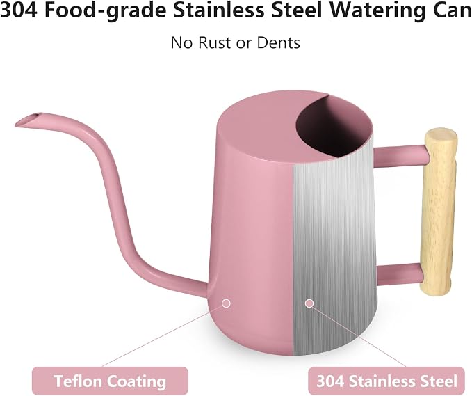 Watering Can Indoor Plants, 35oz Small Indoor Stainless Steel Metal Watering - Image 5