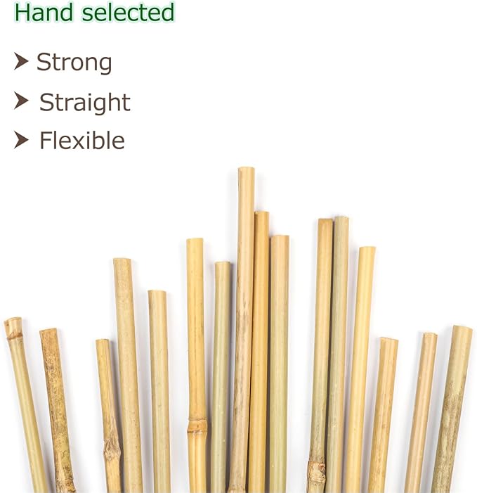 40pcs Natural Bamboo Sticks for Indoor and Outdoor Plants, 16 Inch Plant - Image 2