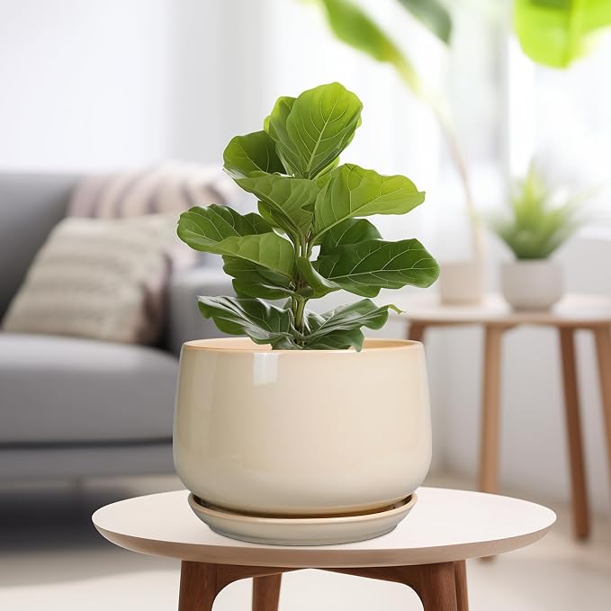 G EPGardening Ceramic Plant Pots - Image 4