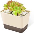 GREANER Planter Pot with Drainage, 1 Pack 6x3.8 Inch Herb Indoor Window Box by GREANER