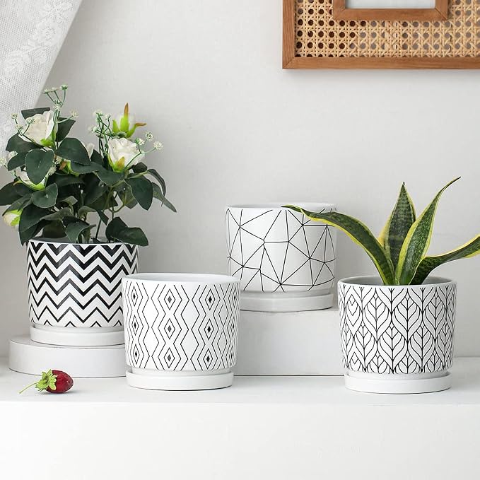 Ton Sin Plant Pots, 5.5 Inch White Pots - Image 5