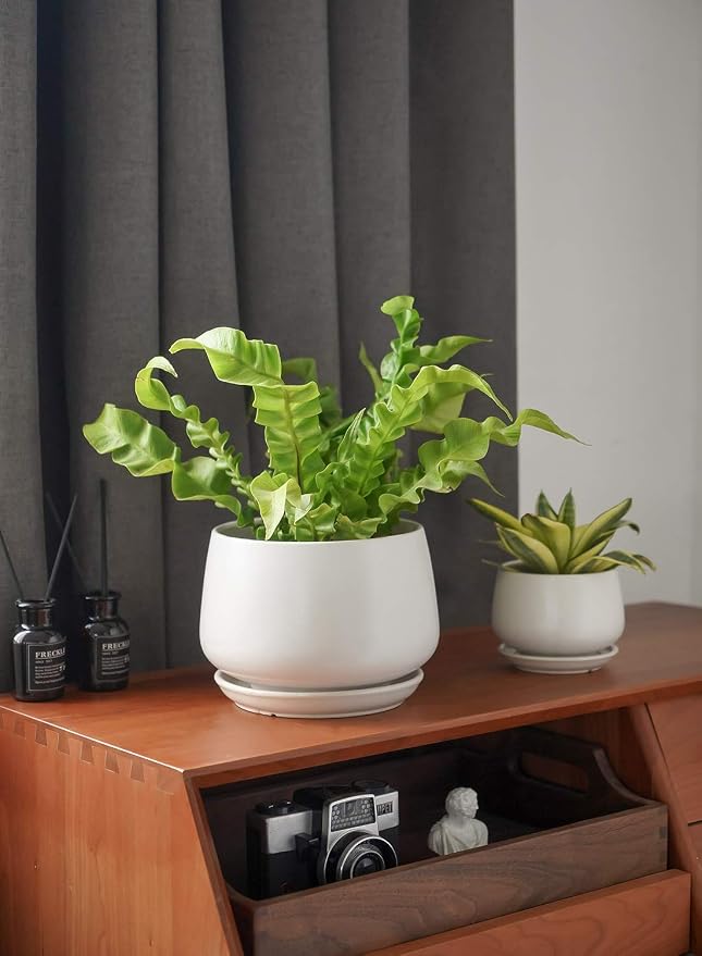LE TAUCI Ceramic Plant Pots, 4.1+5.1+6.5 inch, Planters - Image 8