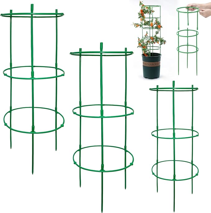 12 Packs Plant Support Stakes, Plant Support by Unknown