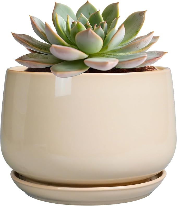 G EPGardening Ceramic Pot for Plants by GEPGardening