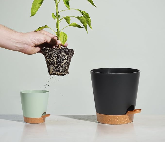 Self Watering Planters for Outdoor Plants 7/6.5/6/5.5/5Inch 5Pack Flower Pot - Image 6