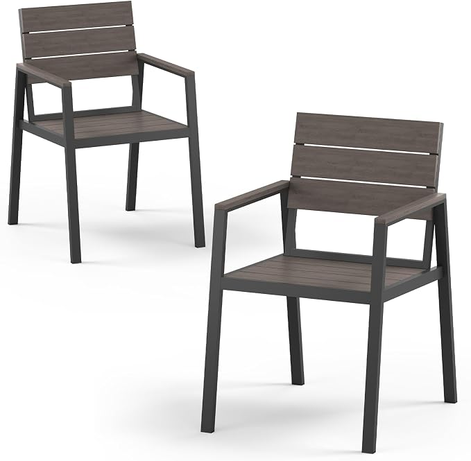 Outdoor Dining Chairs Set of 2, HDPS + Aluminum Patio Dining Chairs by Vexwalx