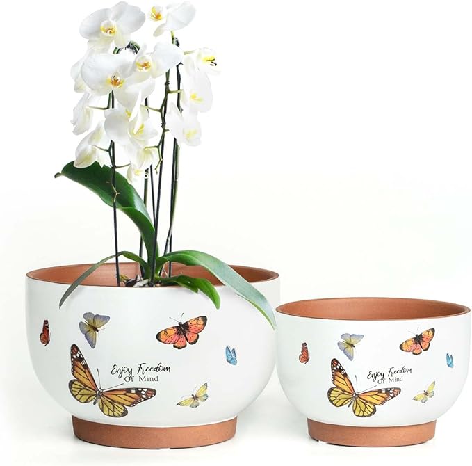 YBX 8 Inch + 6 Inch Terracotta Plant Pots, Flower Pots by YBXYIBOXUAN