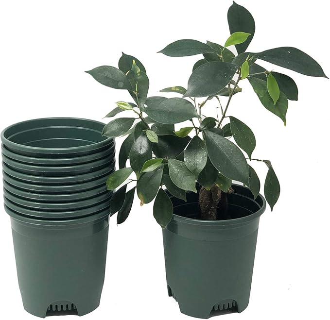 30-Pack Wholesale Nursery Pot in Bulk 5.5 Inch 0.5 Gallon Plastic Planters by CottaPlanters