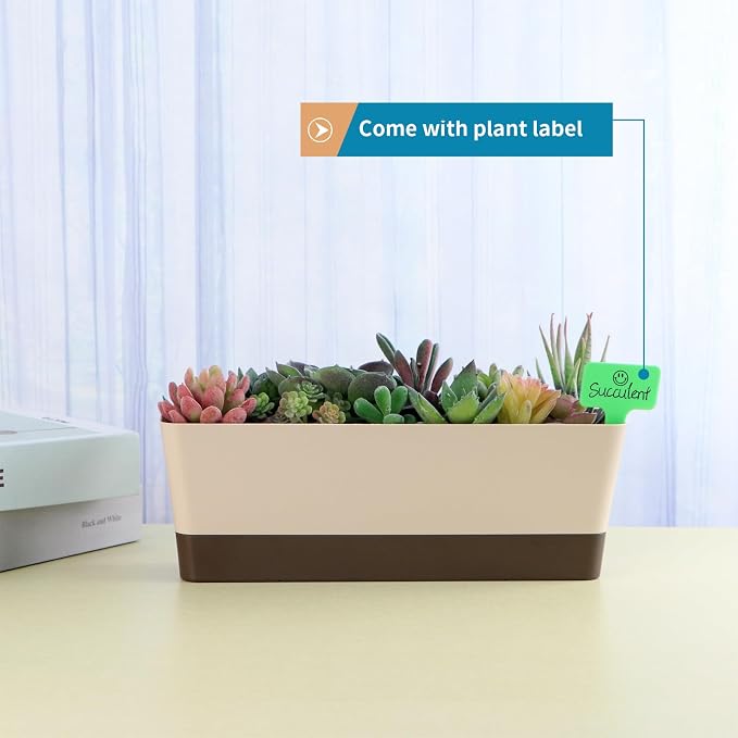Window Box Planter with Tray - Image 4