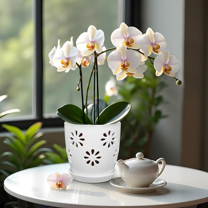 Oairse 6 inch Orchid Pots with Holes, Indoor Plant - Image 6
